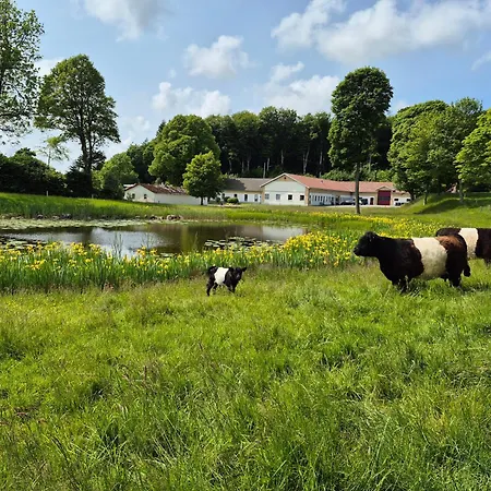 Thise Ladegaard 旅馆 *