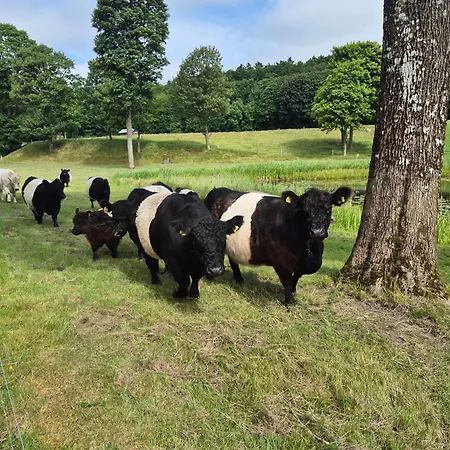 Thise Ladegaard * Manna