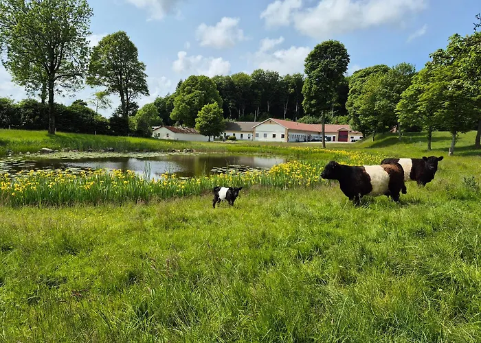Thise Ladegaard 旅馆 *