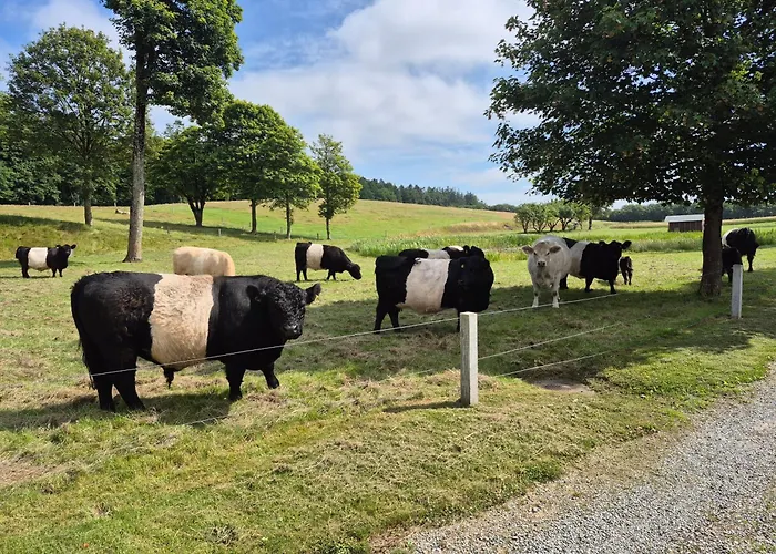 旅馆 Thise Ladegaard Manna