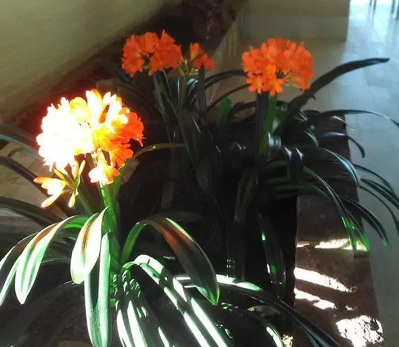 Хостел Thise Ladegaard *